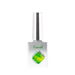 마그넷젤 매직비쥬 컬러젤 10ml, Emeald, 1개