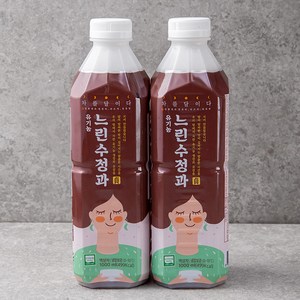 유기가공식품 인증 차를달이다 느린 수정과, 1L, 2개