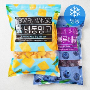 딜라잇가든 칠레산 블루베리 1kg + 망고 다이스 1kg 세트 (냉동), 1세트