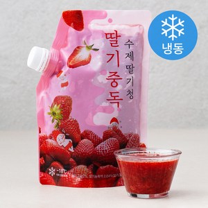 딸기중독 수제 딸기청 (냉동), 1kg, 1개