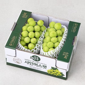 명실상주 당도선별 샤인머스켓, 1.5kg(2~3송이), 1개