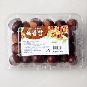 아산율림 옥광 대, 700g, 1개