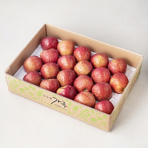 가족 당도선별 안동 사과, 5kg(20입 이내), 1박스