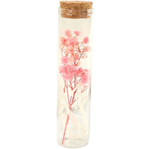 애플민트 병에 담긴 작은 꽃, 안개꽃 핑크