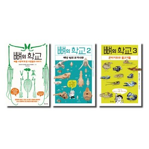 뼈의 학교 전 3권 세트, 숲의전설, 모리구치 미쓰루