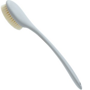 데이올리 라운드 바디 브러쉬, 그레이, 1개, 1개입