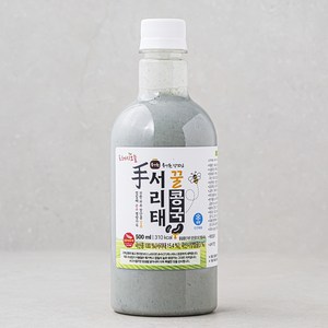 프레시오늘 신선냉장 장단콩 꿀서리태콩국, 500ml, 1개