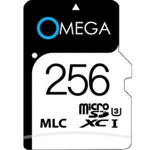 오메가 자동차 블랙박스 MLC MicroSD 메모리카드, 256GB, 1개