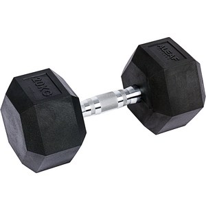 아리프 PEV 헥사곤 덤벨, 20kg, 1개