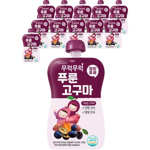 이유케어스 무럭무럭 과일퓨레, 푸룬고구마, 100g, 12개