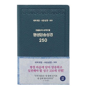 개역개정 평생 암송 성경 250 (쉬운성경 / NIV) 다크블루, 아가페출판사