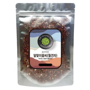 동이약초 국내산 달맞이꽃씨 월견자, 250g, 1개