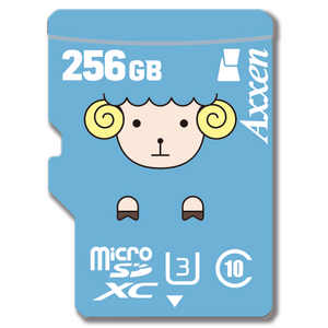 액센 PREMIUM 뚱글이 마이크로 SD카드 MSD11, 256GB