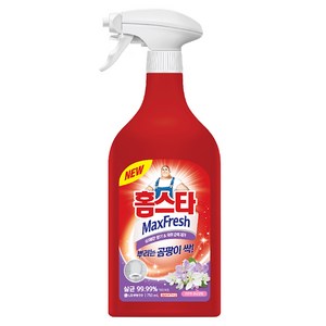 홈스타 맥스프레쉬 뿌리는 곰팡이 싹 세정제, 750ml, 1개