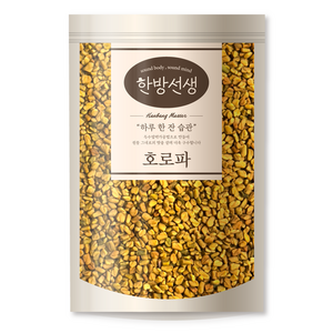 한방선생 호로파 씨앗 특품, 600g, 1개