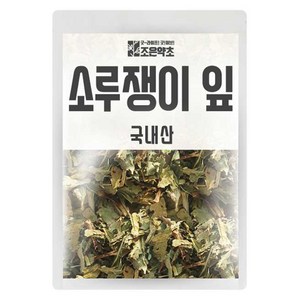 소루쟁이 잎, 300g, 1개