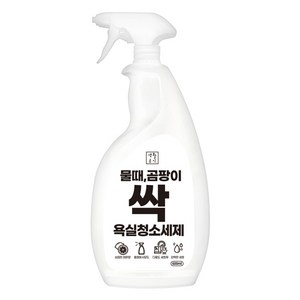 생활공식 물때 곰팡이 싹 욕실청소세제, 1개, 600ml