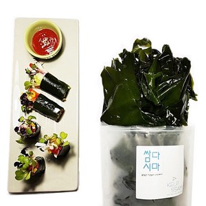 우진수산 염장 쌈다시마, 1개, 2.5kg