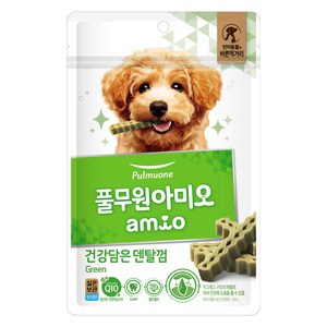 아미오 강아지 건강담은 간식 덴탈껌 그린, 100g, 1개