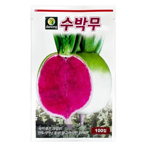 다농 수박무 씨앗 100p, 1개