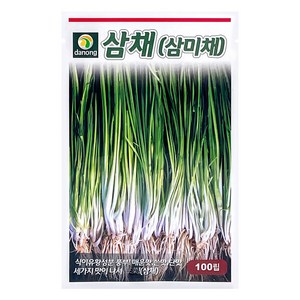 다농 삼채 씨앗 100p, 1개