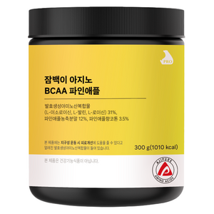 잠백이 아지노 BCAA 파인애플, 1개, 300g