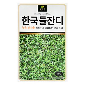 씨앗애 한국들잔디 씨앗 1만립, 1개