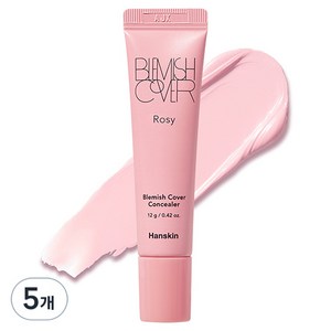 한스킨 블레미쉬커버 12g, 로지, 5개