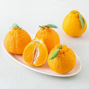 곰곰 당도선별 한라봉 중과 5~7개입, 1개, 1.5kg