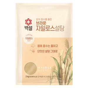 백설스위트리 자일로스 갈색설탕, 1개, 2kg