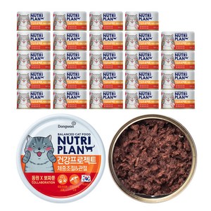 동원뉴트리플랜 고양이 뽀짜툰 건강 프로젝트 간식캔, 체중조절&관절, 160g, 24개