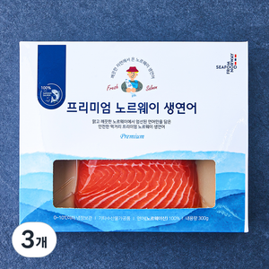 노르웨이산 엠앤엠씨 생연어 필렛 (냉장), 300g, 3개