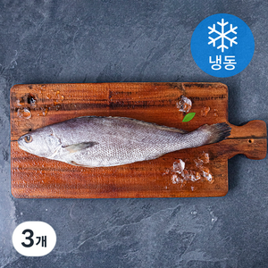 제주어부 민어 (냉동), 400g(특대), 3개