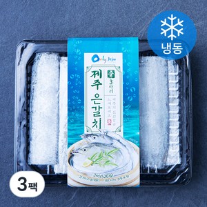 비비수산 제주 손질 은갈치 3마리 (냉동), 520g(중), 3팩