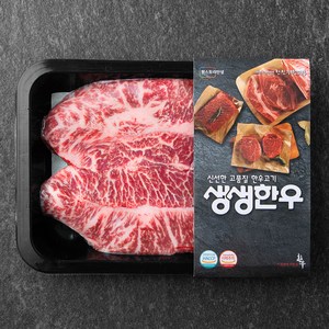 생생한우 1등급 부채살 스테이크용 (냉장), 300g, 1개