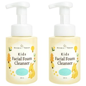 보타니컬테라피 키즈 페이셜 폼 클렌저, 280ml, 2개