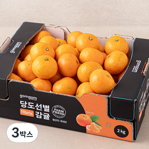 당도선별 11bix 감귤, 2kg(소과), 3박스