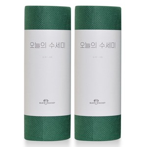 블루버킷 오늘의 수세미 60p, 2개, 딥그린