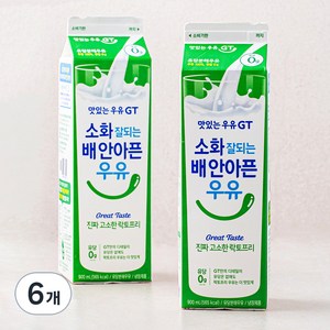 남양유업 맛있는우유GT 소화가 잘되는 고소한 락토프리, 900ml, 6개