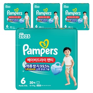 팸퍼스 2025 베이비드라이 팬티형 기저귀 남녀공용, 6단계, 120매