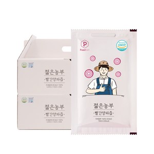 푸릇담 국내산 젊은농부 빨간양파즙, 5L, 2개