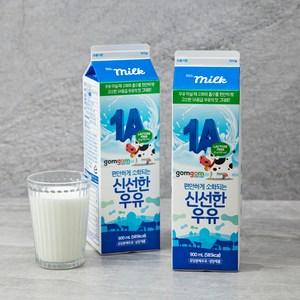 곰곰 소화가 잘되는 신선한 우유, 900ml, 2개