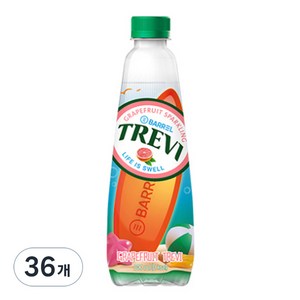 트레비 자몽 탄산음료, 500ml, 36개