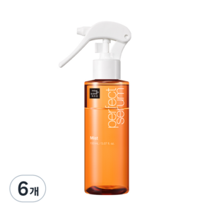 미쟝센 퍼펙트 세럼 미스트 헤어에센스, 150ml, 6개