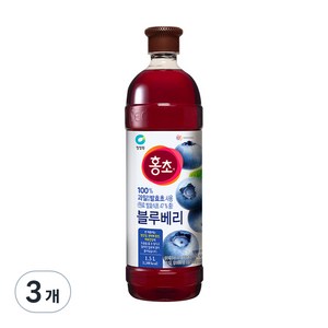 홍초 블루베리, 1.5L, 3개