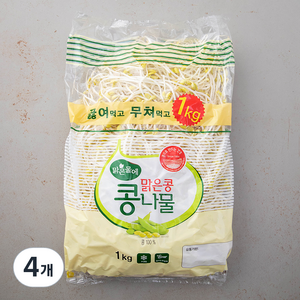 맑은물에 맑은콩 콩나물, 1kg, 4개