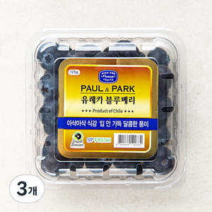 폴앤박 유레카 블루베리, 125g, 3개