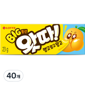 롯데웰푸드 빅풍선 왓따 맹고말고망고, 23g, 40개