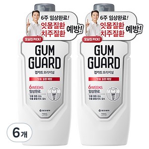 검가드 오리지널 구강청결제, 750ml, 6개