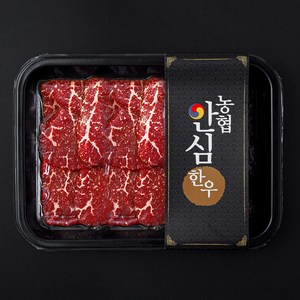 농협안심한우 홍두깨 1등급 육전용 (냉장), 1개, 300g